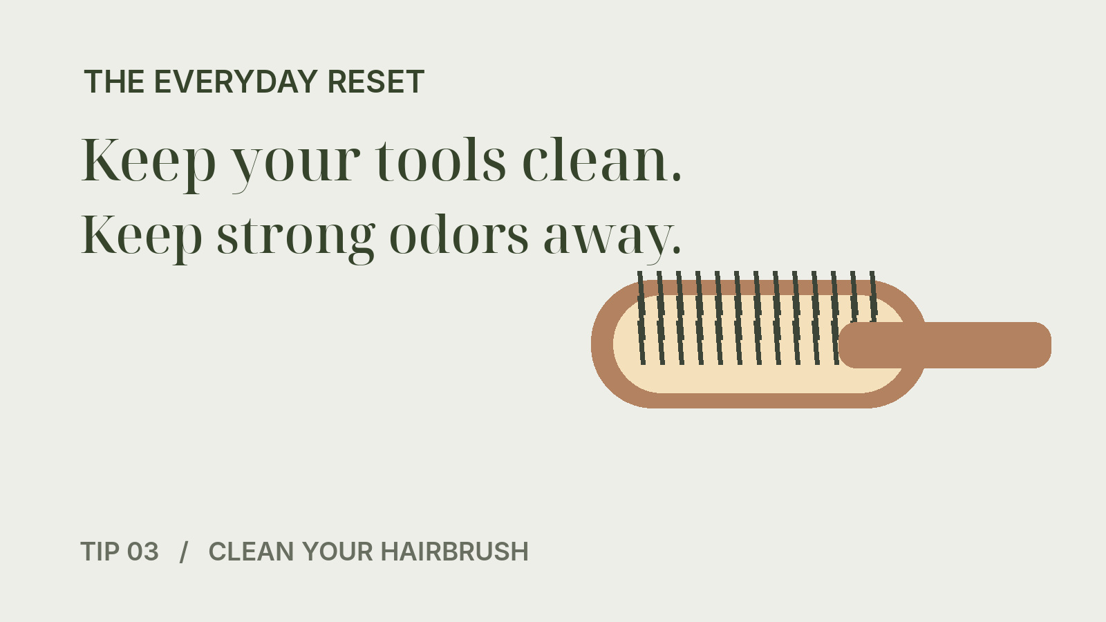 Minimal flat illustration of a hairbrush with bristles on a muted light green background.