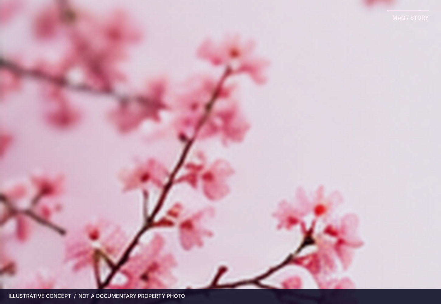 Original conceptual spring blossoms in pale pink and white; no AEON property is shown.