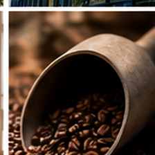 Illustrative lifestyle photograph for coffee & tea sample concept