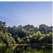 Illustrative lifestyle photograph for garden & sustainable home sample concept
