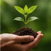 Illustrative lifestyle photograph for garden & sustainable home sample concept