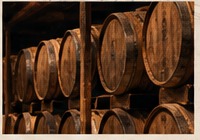 Rows of wooden barrels in a low-lit cellar; illustrative, not verified Tierra Noble barrels.