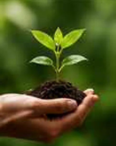 Illustrative editorial demo photograph accompanying a fictional MAQ.BIO product about nature; no real Brand or Product depicted as verified.
