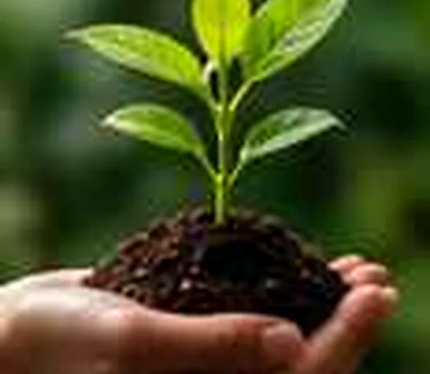 Illustrative editorial demo photograph accompanying a fictional MAQ.BIO catalyst about nature; no real Brand or Product depicted as verified.